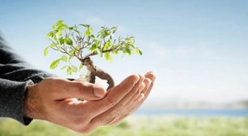 Dünya Çevre Günü Ne Zaman